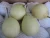 Import fresh fruit shandong/green/golden pear for sale from China