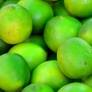 Fresh Green Seedless Lime Good Price