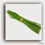 FRESH MORINGA DRUMSTIC VEGETABLE