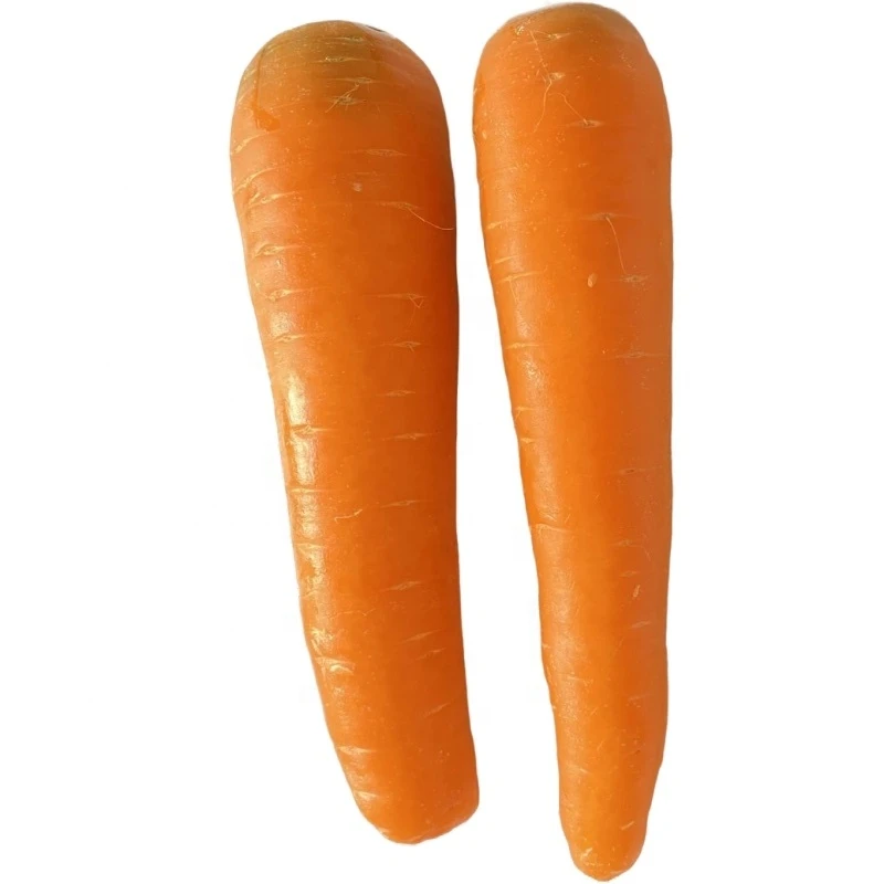 Fresh Non-peeled Carrots for sale