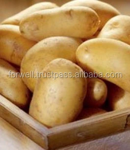 Fresh Potato ( Spontta - Kara - Rosetta -Diamante- Nicola ) crops 2014