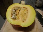 Fresh Pumpkins
