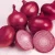 Import Fresh Red onion best price Wholesale supplier from USA