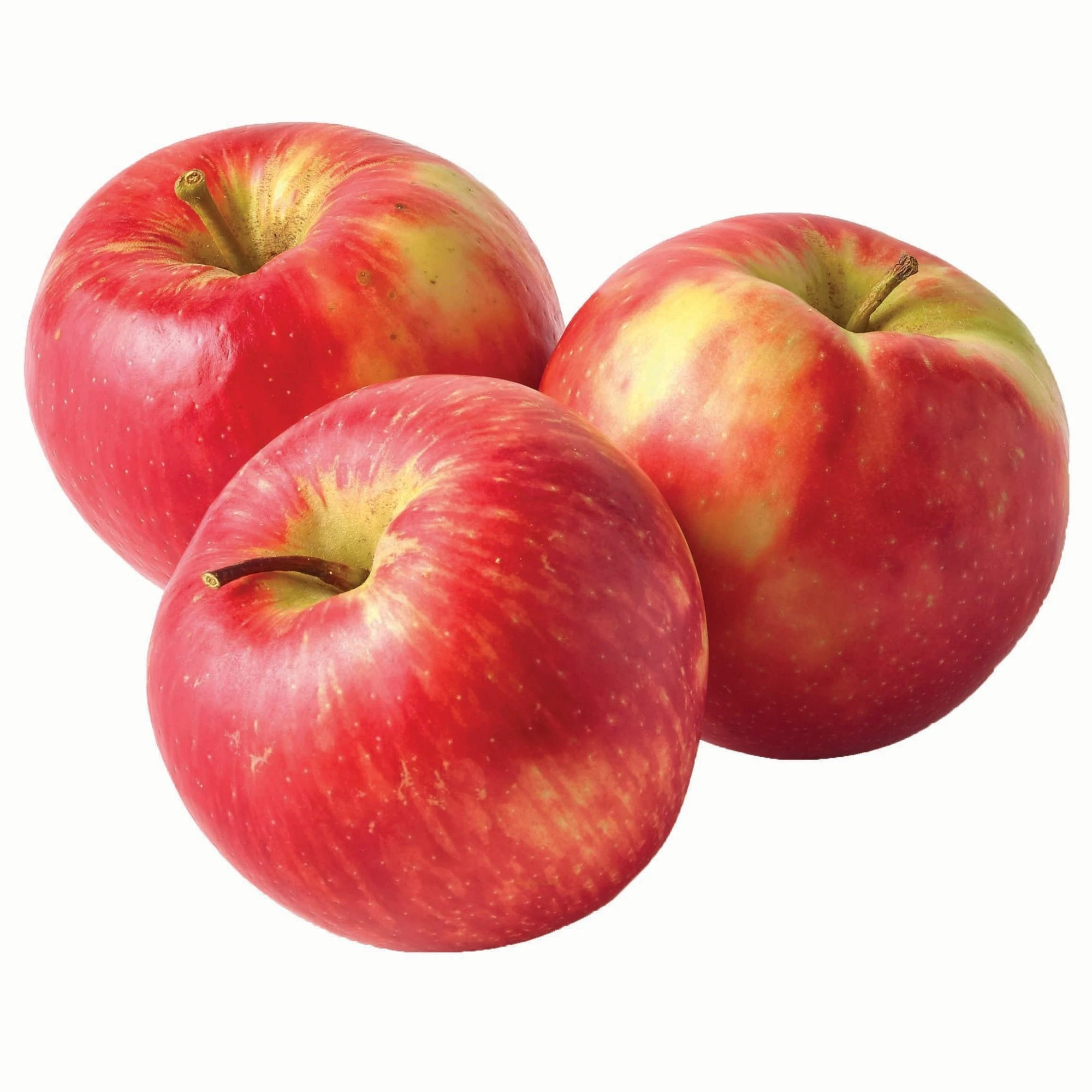Fresh Red South Africa Apples