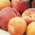 Import Fresh Red sweet peaches from South Africa from South Africa