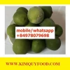 Fresh Seedless lime fruit -Good Supplier - Hiqh Quality Vietnam Seedless Lime Fruit