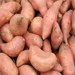 Fresh Sweet Potatoes  for sale