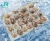 Import frozen boiled baby clam meat without shell no shell  shellfish from China
