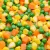 Import frozen carrot corn kernel and bean Frozen mixed vegetable Details from China