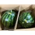 Import fruit seasoning watermelon without pesticide graft in big watermelon from Japan