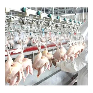 Full automatic halal slaughtering and cutting compact chicken slaughter line poultry equipment