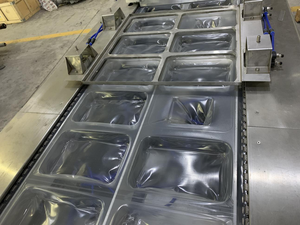 Fully automatic double chamber vacuum sealing packing machine for food vegetable rice fish