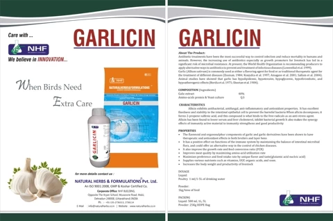 Garlicin Herbal product from Natural herbs and Formulations  Increase  Immunomodulatory activity Of Broiler chicken