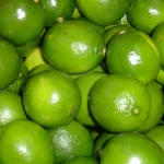 Germany best quality Grade A Fresh Green Lime Seedless and SEEDLESS LIME