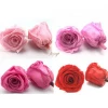 Gift Ideas for Thanksgiving Guests Iran Dried Dry Preserved Flowers Pink Red Rose