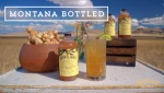Ginger Honey Shrub - All Natural, Small Batch, Montana Sourced Drinking Vinegar for Sodas and Cocktails - 8oz