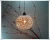 Import Good selling ceramic pendent light with low price from China