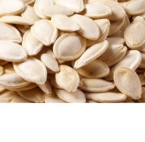 Grade AA shine skin pumpkin seeds kernels, hulled snow white pumpkin seed kernels wholesale