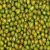 Import Green Mung Beans from USA
