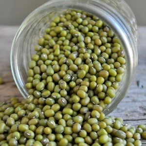 Green Mung/vigns Beans