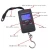 Import Hanging Fishing Hook Balance Digital Luggage Weighing Scale 50kg from China