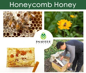 Healthy food Organic Pure Natural Bee Products Honeycomb Honey