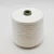 Import High elastic rabbit wool like core spun yarn viscose and nylon and polybutylece terephthalate blended yarn 28S/2,48NM/2 from China