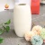 Import High End Modern Style Sample White Home Decor Flower Vase Ceramic from China