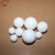 Import High precision 4.5mm white plastic ball pit balls from China