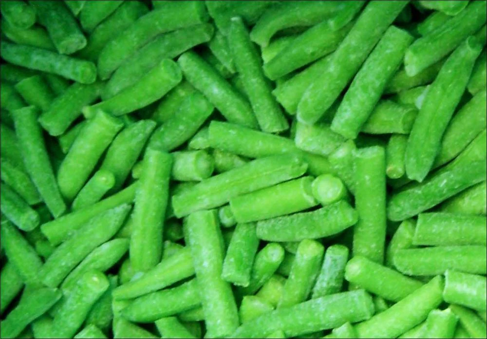 High quality best selling IQF frozen cut green beans