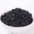 Import high quality charcoal column activated carbon for net gas from China