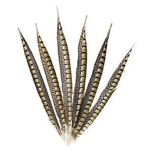 High Quality Cheap Artificial Lady Amherst Pheasant Feathers for Sale