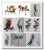 Import High quality china supplier home decor garden decoration wholesale metal dragonfly wall decor from China