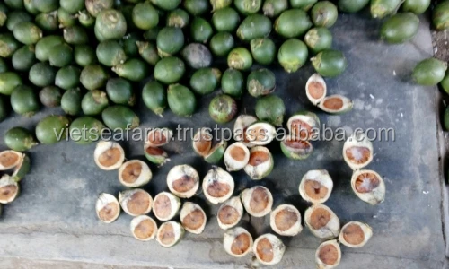 High quality fresh betel with the limited quantity