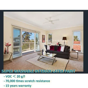 High quality interior wall paint