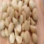 Import High quality Macadamia nuts for sale from China