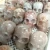 Import High Quality  Natural Polished Hand Carved Folk Crafts Red Hematoid Skulls Healing Crystals Stone Skulls For Decoration from China