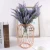 High Quality Small Cage Glass Vases in Rose Gold Metal Rack Flower Planter Terrariums Plant  Clear Vase Decorative Centerpiece