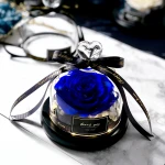 High Quality Small Creative Customized Preserved Rose Flower Led Rose fresh forever real Mixed Color Real Roses in glass dome