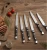 Import High Quality Stainless Steel Steak Knife Set with Wood Block from China
