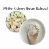 High Quality White Kidney Bean Extract Powder