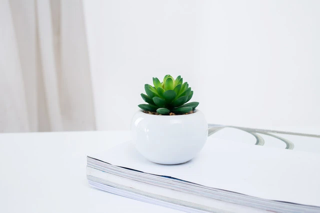 high quality wholesale cute real touch ceramic potted  artificial succulent  plants bonsai home desk decoration for sale