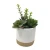 Import High Simulation Mini Artificial Faux Succulent Plants with withe soil pots for Garden Decoration from China