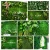 Home Garden Decoration DIY Wall Hanging Synthetic Grass Green Wall Artificial Plants for Wall Decoration