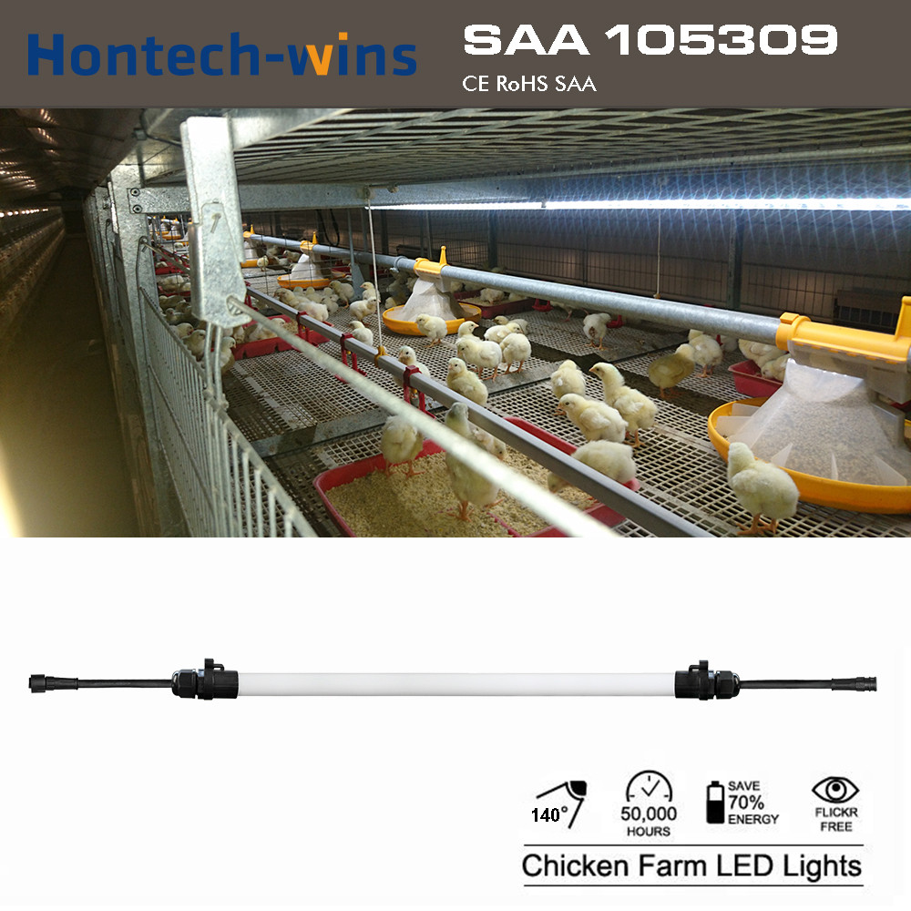 Buy Hontech Chicken House Farm Equipment Poultry Led Lighting T6 Tubes ...