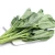 Import Hot Sale Chinese Fresh Cabbage Mustard Vegetable from China