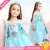 Import Hot sale high quality Halloween anime frozen Princess dress costume from China