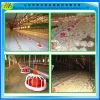 Hot sale!Huabang feeding system for chicken;duck and any other animals