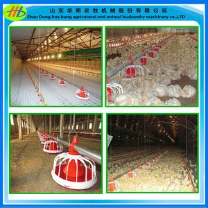 Hot sale!Huabang feeding system for chicken;duck and any other animals