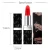 Import Hot Sales Private Label Lips Makeup Waterproof Shimmer Long Lasting  Lipstick Luxury Makeup  Matte Shine from China